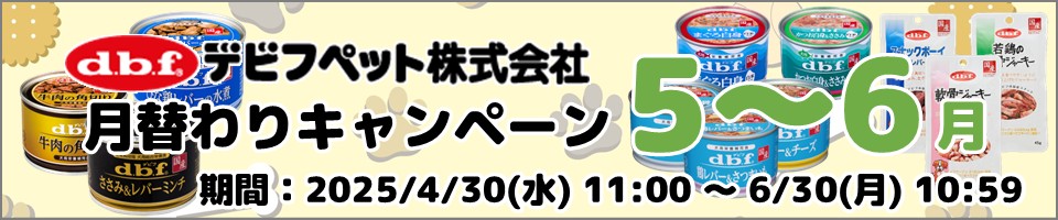 デビフ月替わりキャンペーン実施中