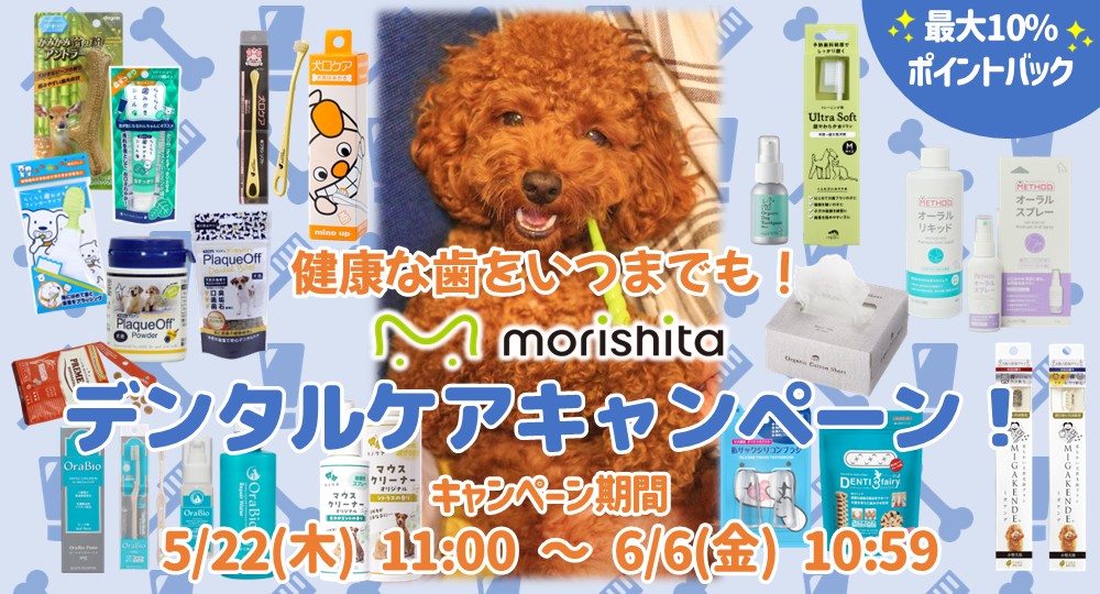 デンタルキャンペーン5/22スタート