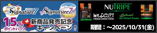ファンタジーワールドキャンペーン実施中