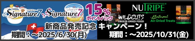 ファンタジーワールドキャンペーン実施中