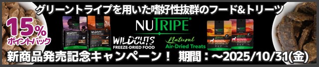 ファンタジーワールドキャンペーン実施中