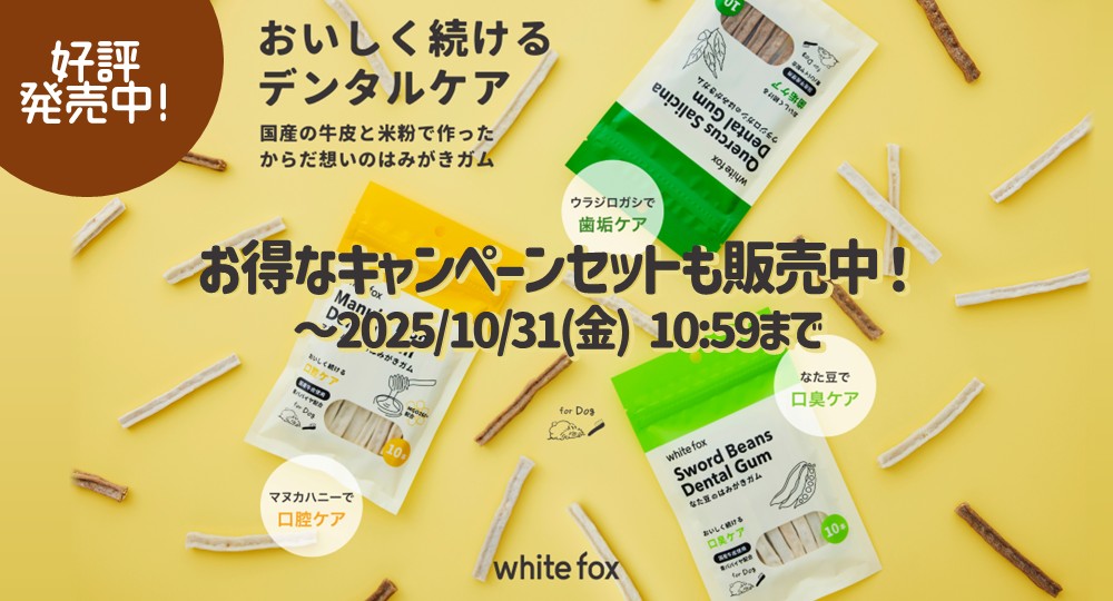 ホワイトフォックスはみがきガム予約受付中