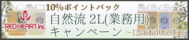 自然流業務用キャンペーン実施中