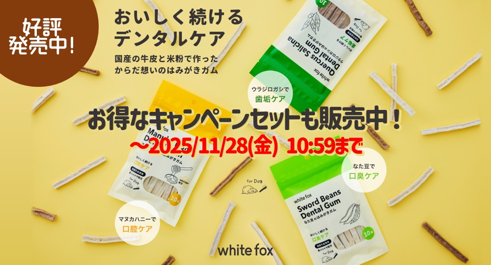 ホワイトフォックスはみがきガム予約受付中