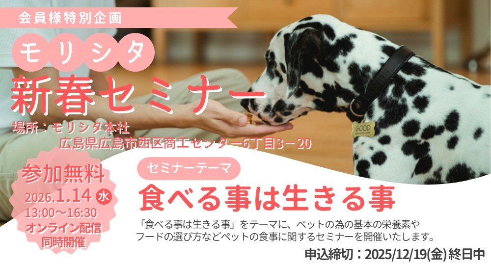 QIX×whitefox共催セミナーのご案内