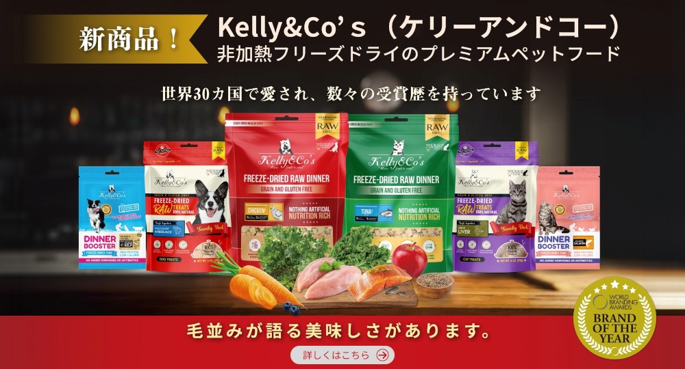 ケリーアンドコー取扱いスタート