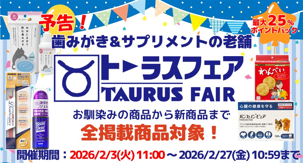 トーラスフェアキャンペーン予告