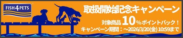 FISH4取扱開始記念キャンペーン