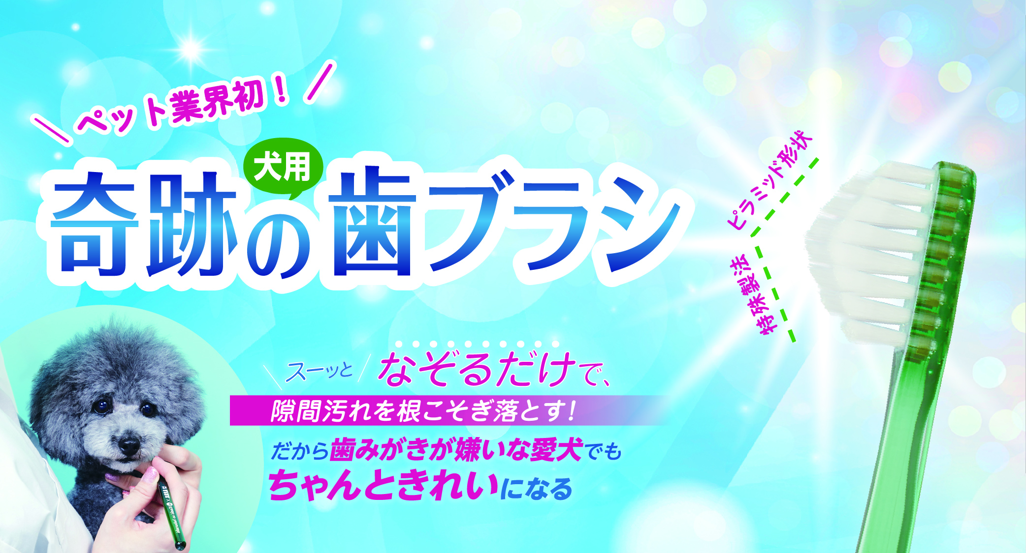 奇跡の歯ブラシ予約受付中