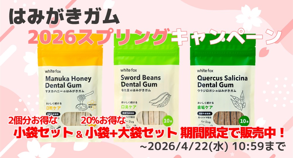 ホワイトフォックス はみがきガム2026スプリングキャンペーン