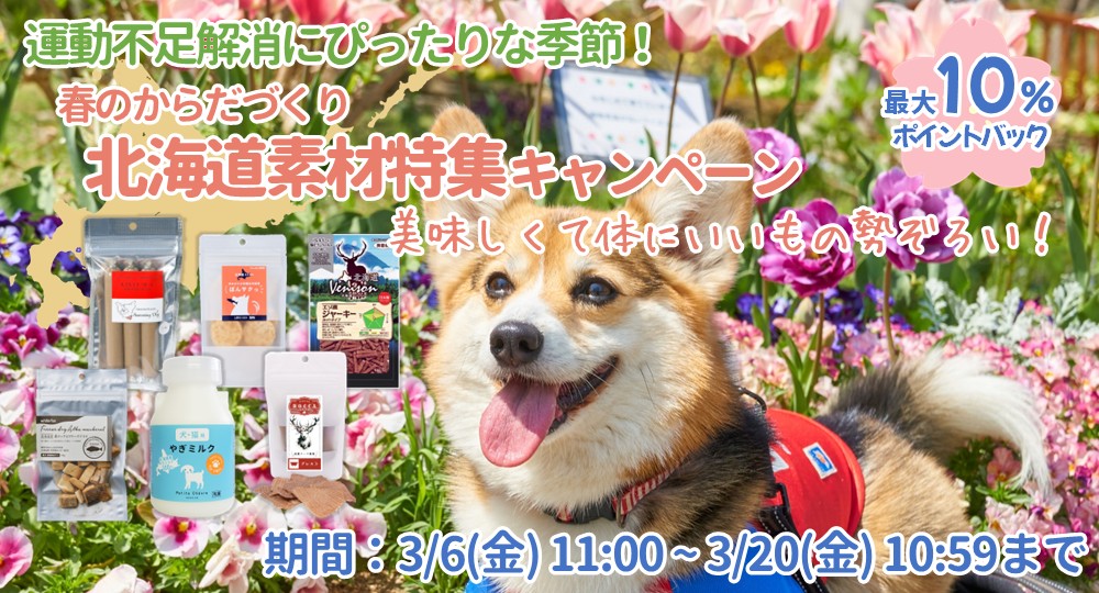 北海道素材特集キャンペーン実施中