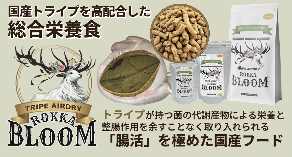 ロッカブルーム取扱い中