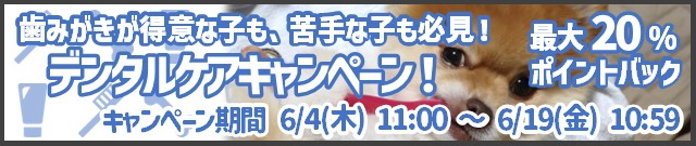 デンタルケアキャンペーン実施中