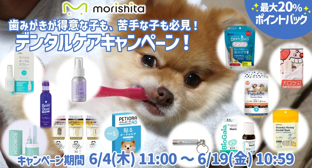 デンタルケアキャンペーン実施中