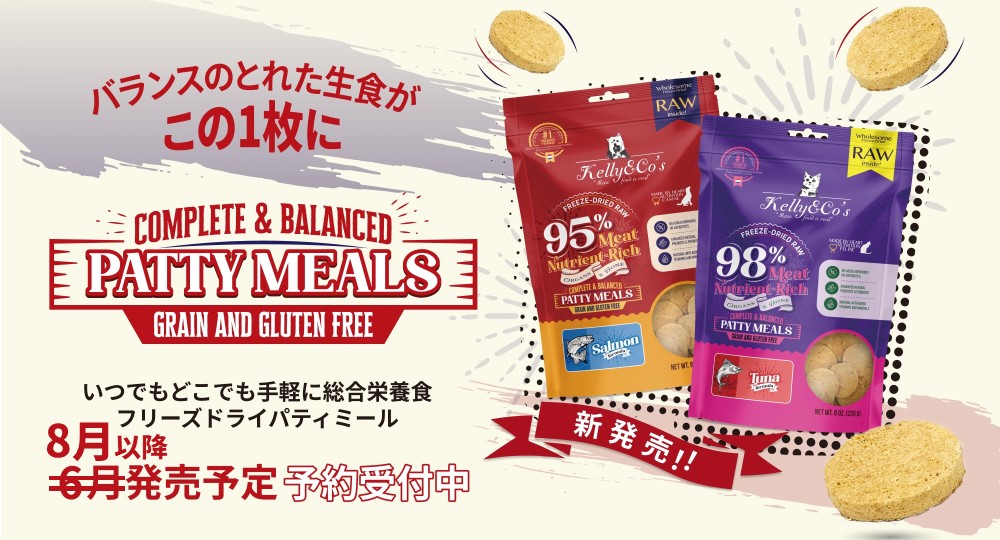 ケリーアンドコー パティミール販売中