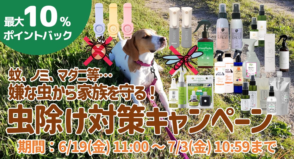 虫除け対策キャンペーン実施中