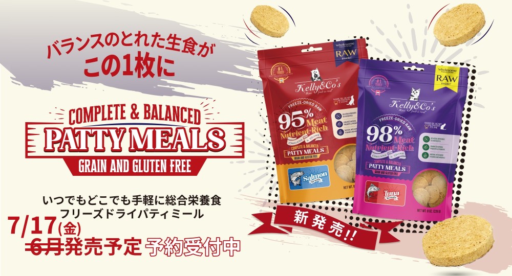 ケリーアンドコー パティミール販売中