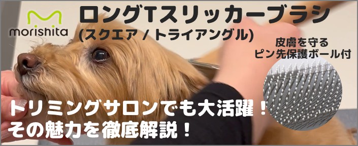 モリシタ スリッカーブラシについてはこちら
