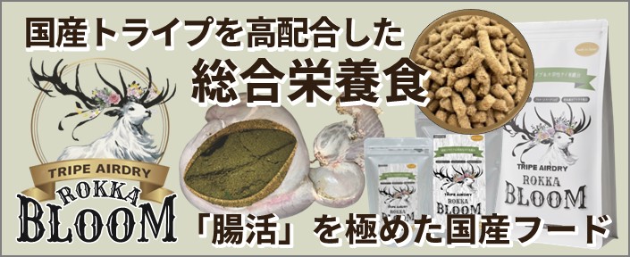ロッカブルームについてはこちら