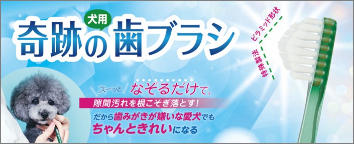奇跡の歯ブラシはこちら