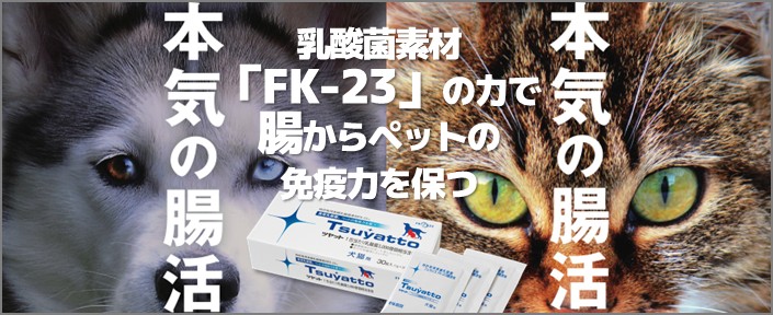 ニチニチ製薬についてはこちら