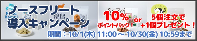ノースフリート導入キャンペーンはこちら