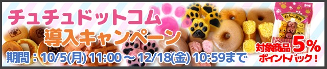 チュチュドットコム導入キャンペーンはこちら