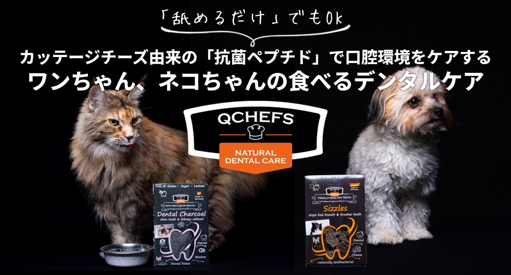 キューシェフス取扱い実施中