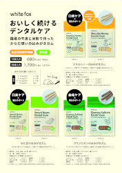 はみがきガムチラシ