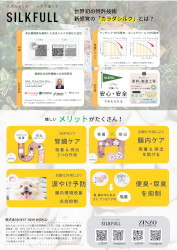 シルクフルチラシ