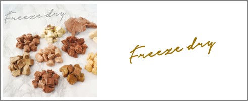 フリーズドライシリーズ特集へ