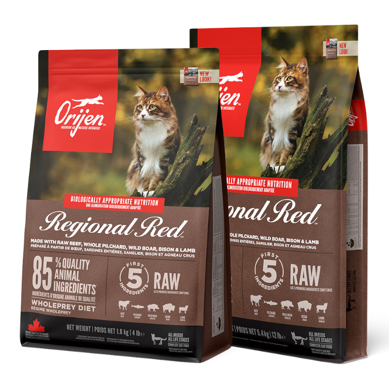 【ORIJEN】レジオナルレッド キャット【Amazon販売不可】(取寄)