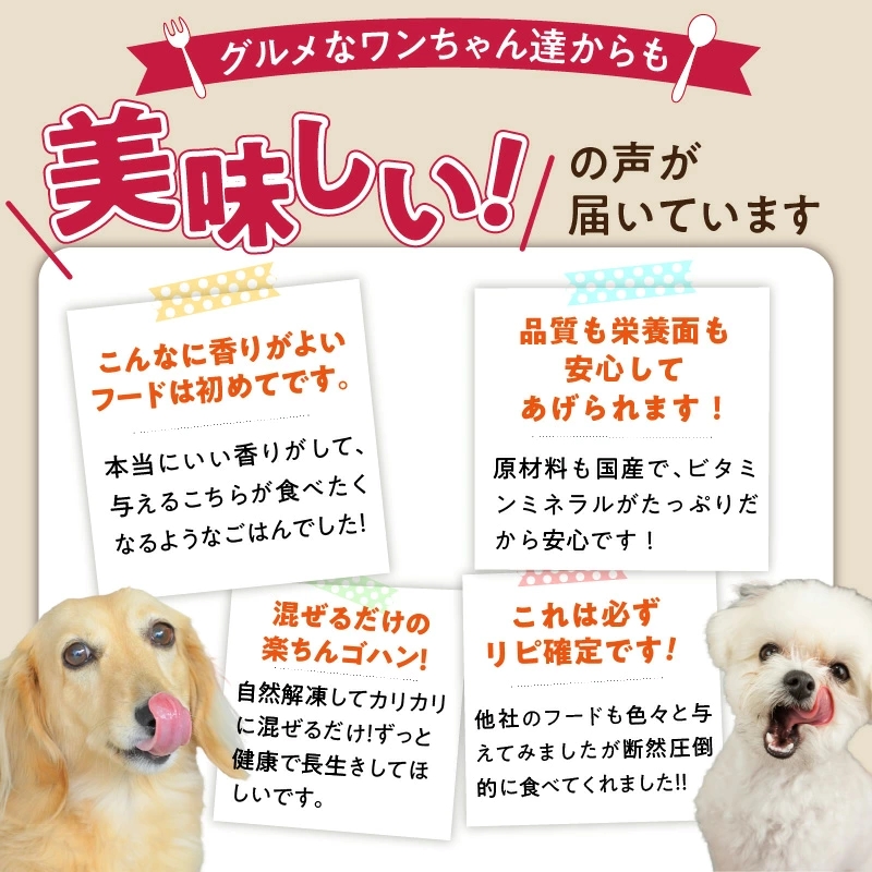 ブルズごはん説明 ワンちゃん達からの声