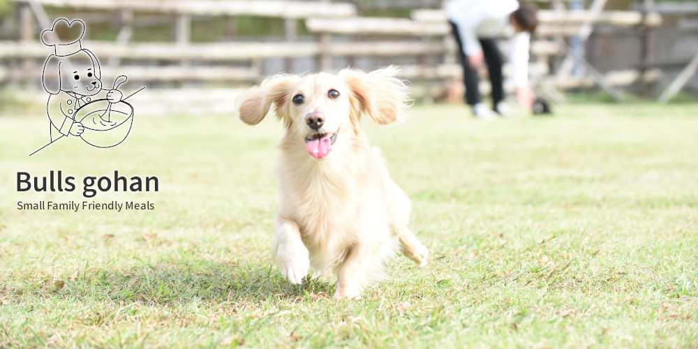 ブルズごはんイメージ