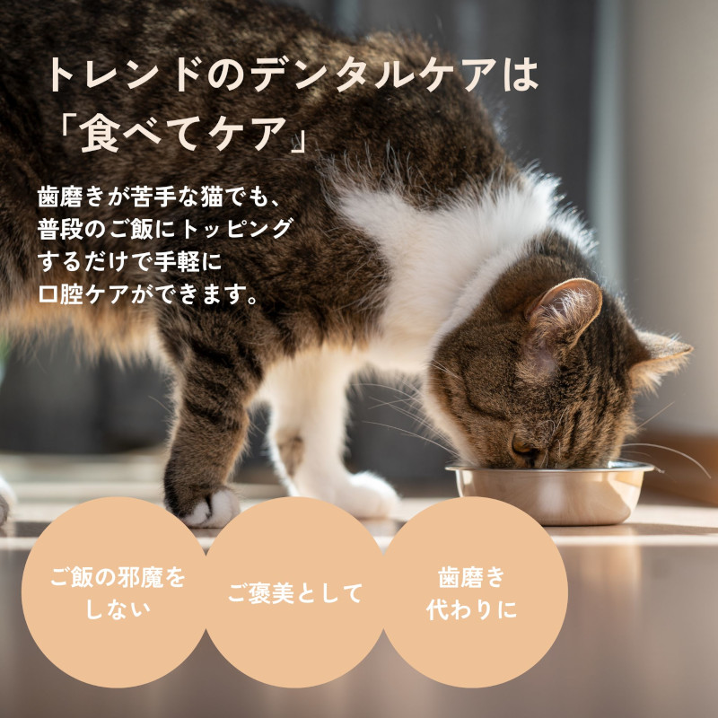 食べてケア