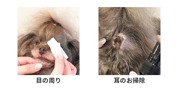 使用箇所の例：目の周り、耳のお掃除