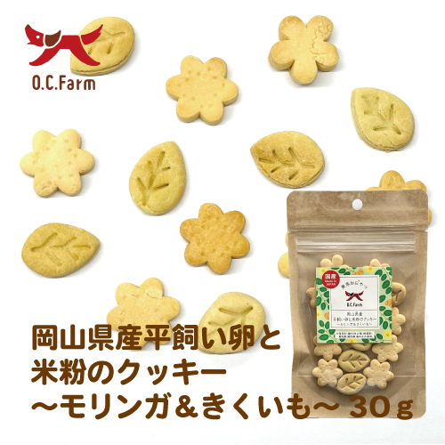 岡山県産平飼い卵と米粉のクッキー ～モリンガ&キクイモ～