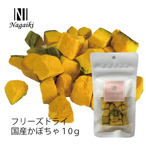【Nagaiki】フリーズドライ国産かぼちゃ【EC販売禁止商品、定価販売厳守】