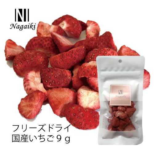 【Nagaiki】フリーズドライ国産いちご【EC販売禁止商品、定価販売厳守】