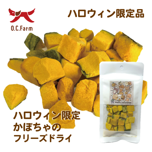 【2025OC ハロウィン】【Nagaiki】かぼちゃのフリーズドライ【EC販売禁止商品】【予約商品】