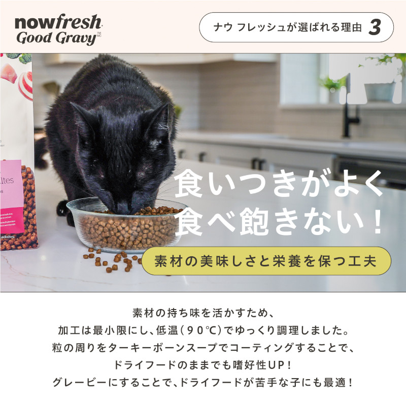 グッドグレービーキャットの説明