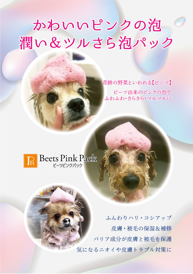 ビーツピンクパックチラシ