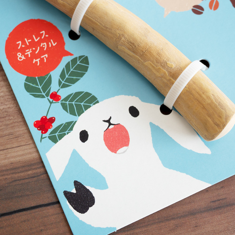 パッケージイメージ