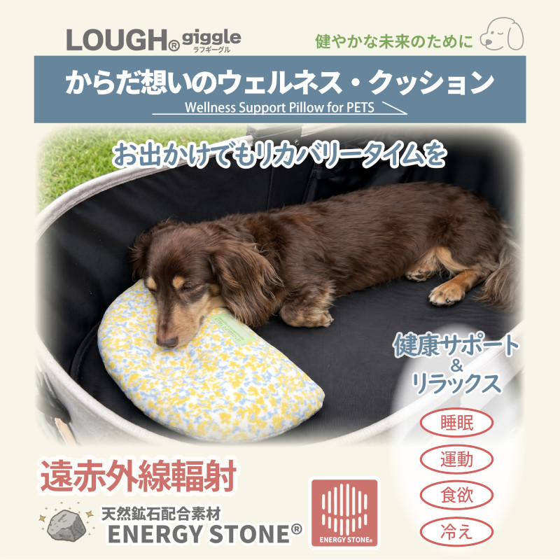 【Lough giggle】ウェルネス･クッション ドットインディゴ/ドットアイボリー【Amazon販売不可】(取寄)