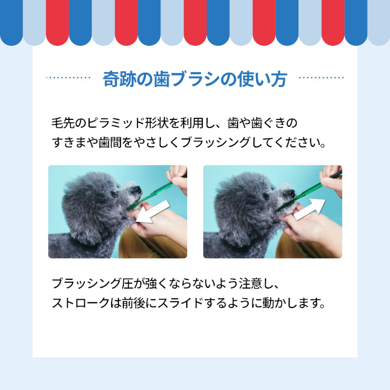 奇跡の歯ブラシについて その1