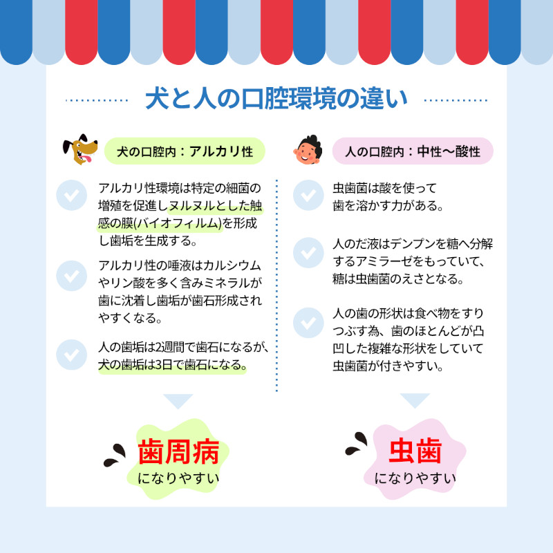 奇跡の歯ブラシについて その2