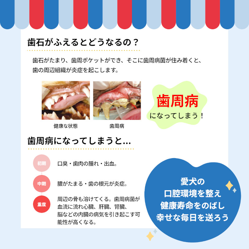 奇跡の歯ブラシについて その3