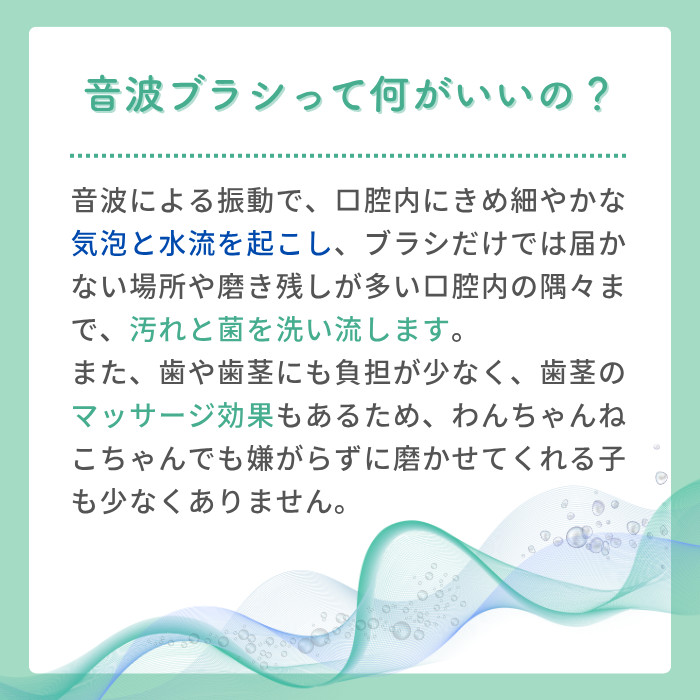 ブーン説明1