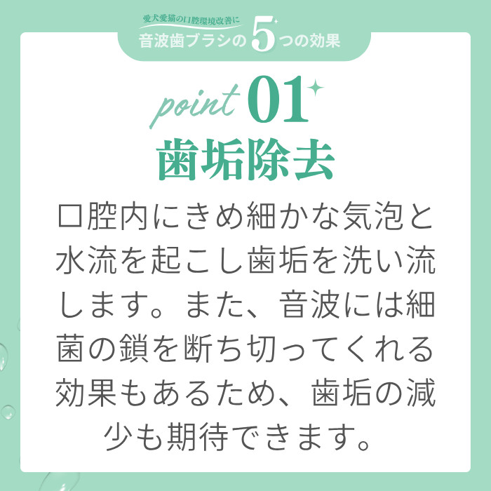 ブーン説明2