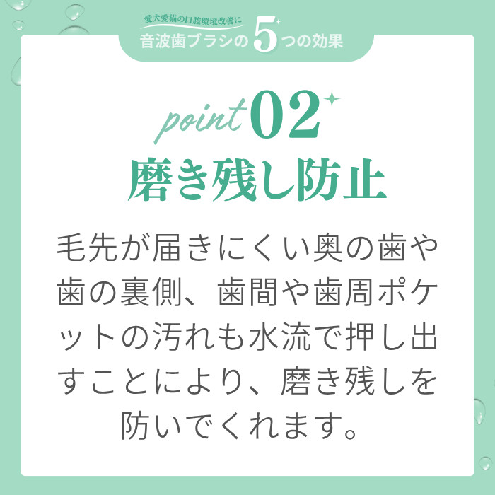 ブーン説明3